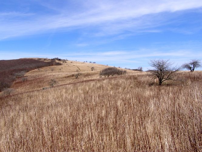 Picture 42 of Roan Highlands Hike 040515