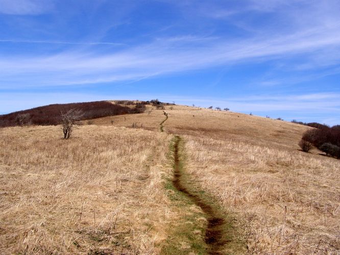 Picture 43 of Roan Highlands Hike 040515