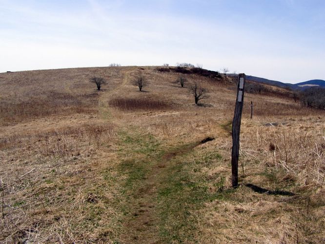 Picture 45 of Roan Highlands Hike 040515