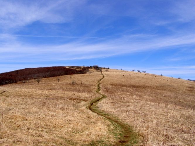 Picture 46 of Roan Highlands Hike 040515