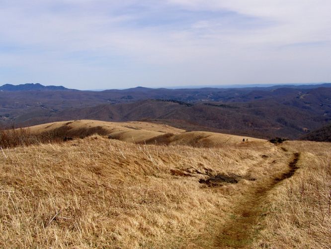 Default image for Roan Highlands Hike, a 18.2-mile trail in Roan Mountain, TN (US)