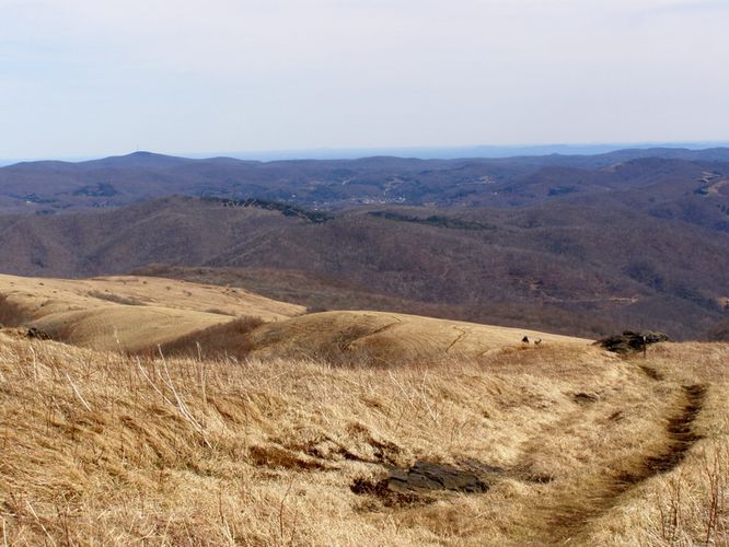 Picture 63 of Roan Highlands Hike 040515
