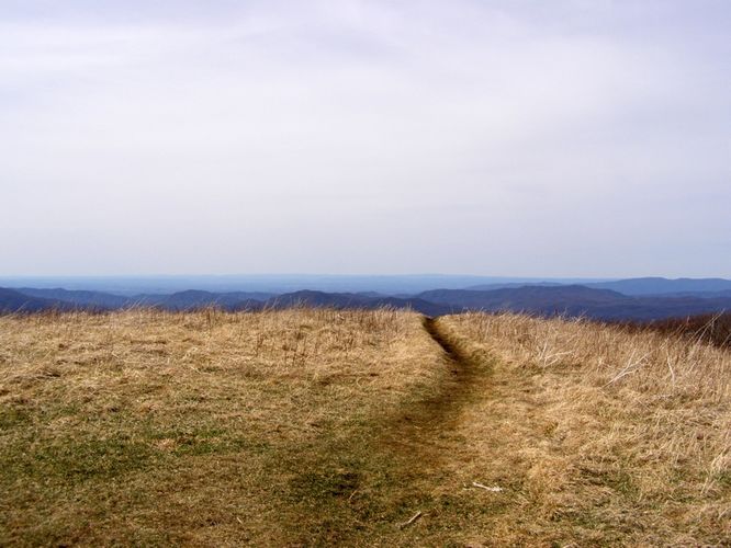 Picture 64 of Roan Highlands Hike 040515