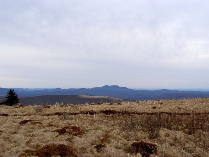 Picture 72 of Roan Highlands Hike 040515