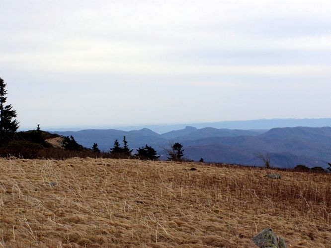 Picture 76 of Roan Highlands Hike 040515