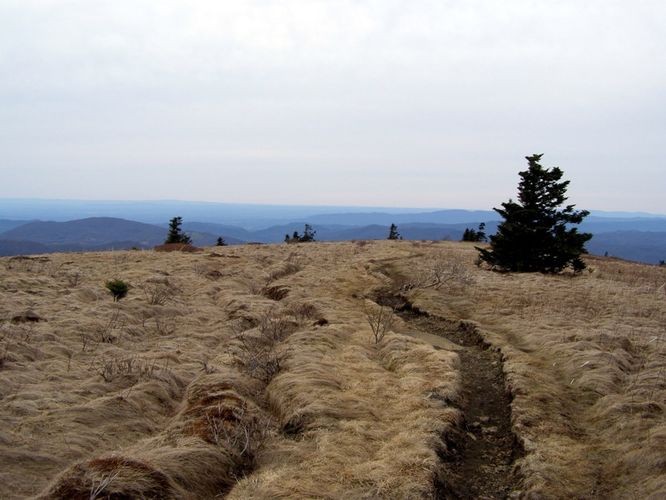 Picture 78 of Roan Highlands Hike 040515