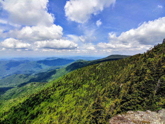 Picture 2 of Roan Mountain Hike 061017