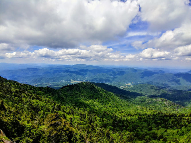 Picture 3 of Roan Mountain Hike 061017