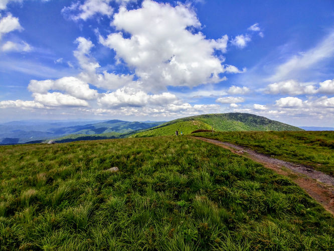 Picture 5 of Roan Mountain Hike 061017