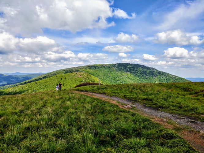 Picture 6 of Roan Mountain Hike 061017