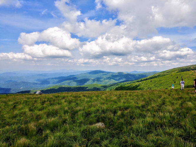 Picture 7 of Roan Mountain Hike 061017