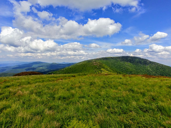 Picture 9 of Roan Mountain Hike 061017