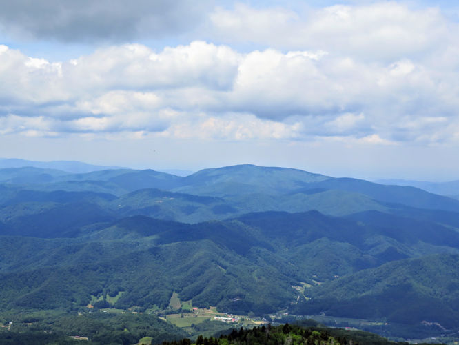 Picture 31 of Roan Mountain Hike 061017