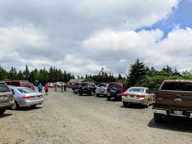 Picture 32 of Roan Mountain Hike 061017