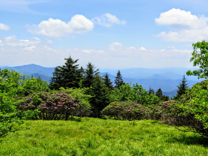 Picture 35 of Roan Mountain Hike 061017