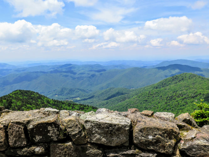Picture 37 of Roan Mountain Hike 061017