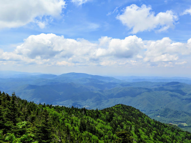 Picture 39 of Roan Mountain Hike 061017
