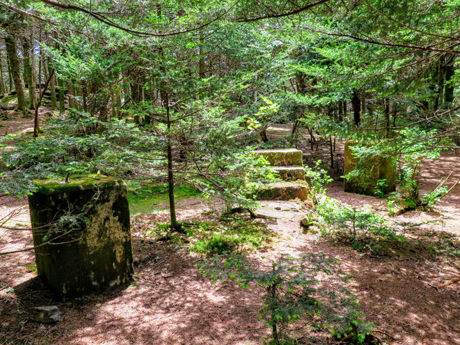 Picture 43 of Roan Mountain Hike 061017