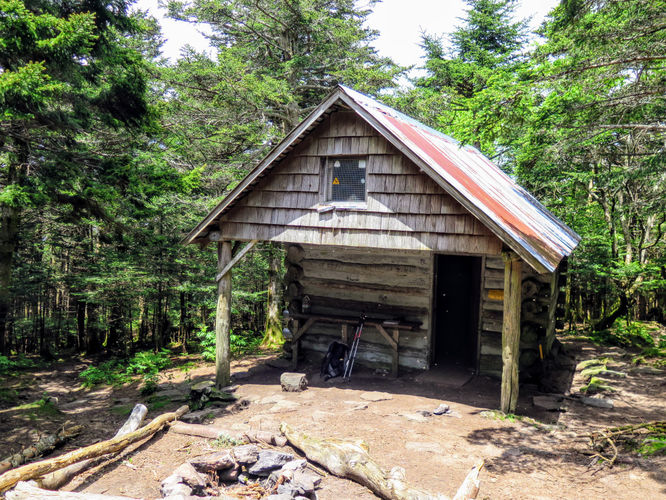 Picture 45 of Roan Mountain Hike 061017