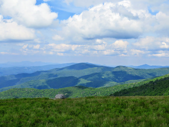 Picture 55 of Roan Mountain Hike 061017
