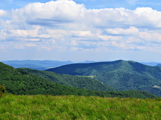 Picture 57 of Roan Mountain Hike 061017