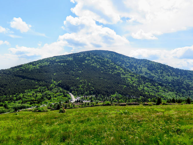 Picture 59 of Roan Mountain Hike 061017