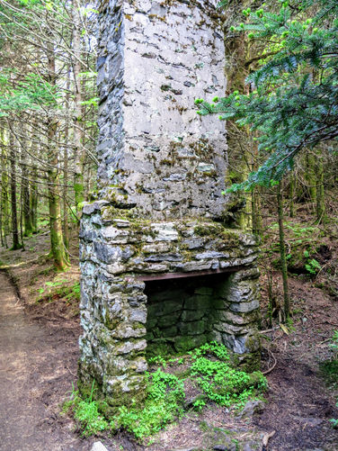 Picture 61 of Roan Mountain Hike 061017