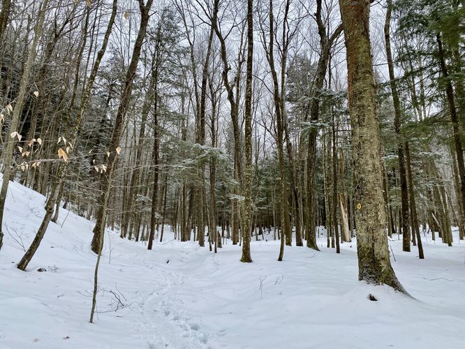 Snowshoeing to the base of Roaring Brook Falls