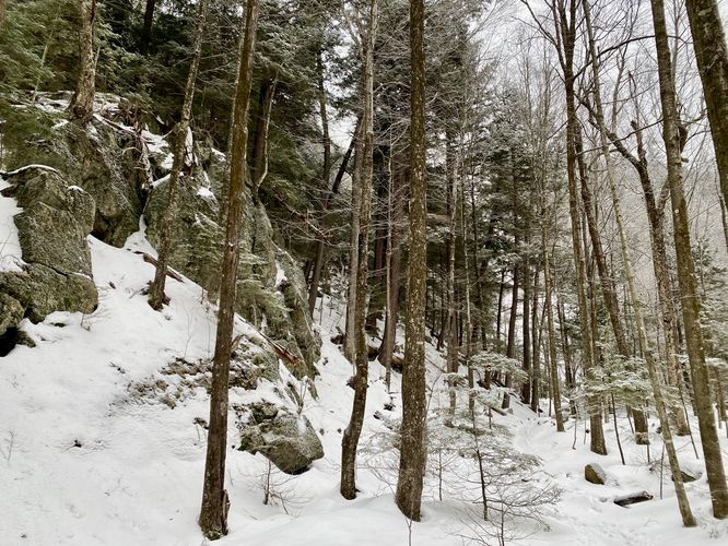 Rock ledges line the Roaring Brook Falls trail