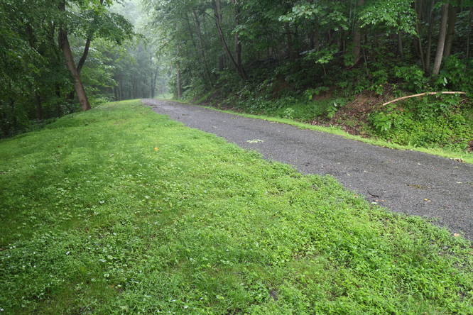 Picture 2 of Roaring Run Trail