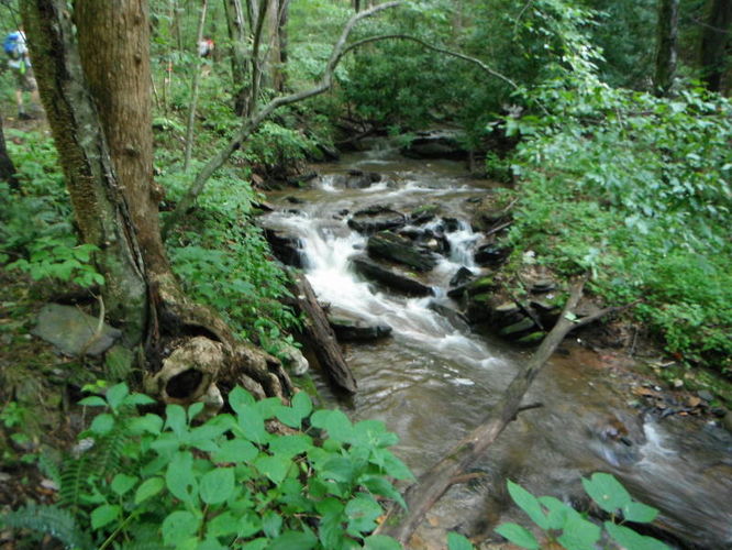 Picture 51 of Rock Castle Gorge Hike 081013