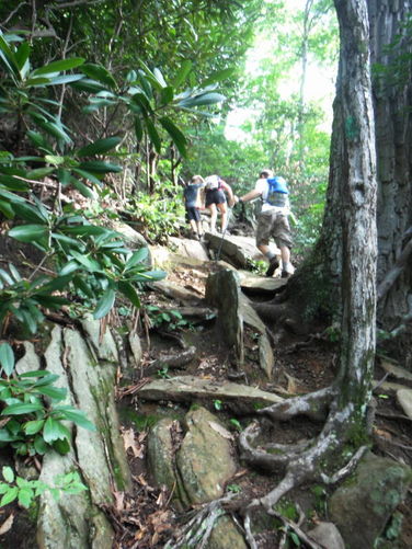 Picture 41 of Rock Castle Gorge Hike 081013