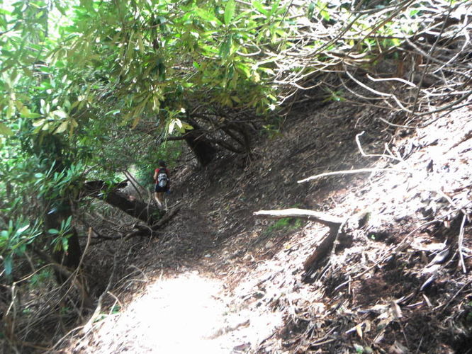 Picture 19 of Rock Castle Gorge Hike 081013
