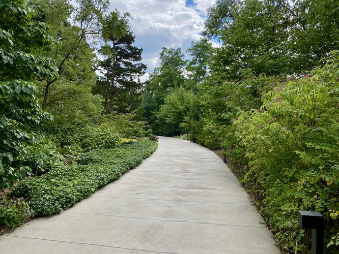Smooth universal access pathway at the RBG Rock Garden