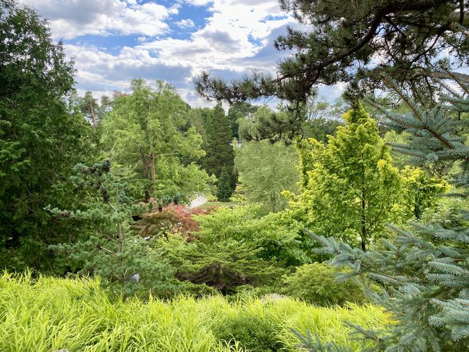 View into the RGB Rock Garden