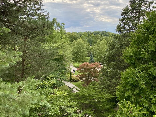 Garden Lookout Point