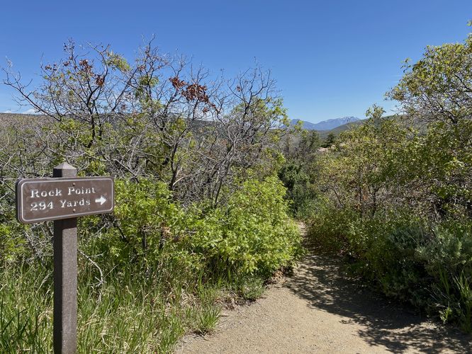 Rock Point trailhead sign