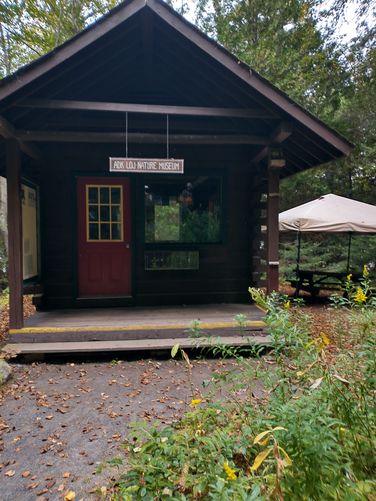 Nature museum 
