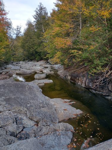 Indian Pass Brook 