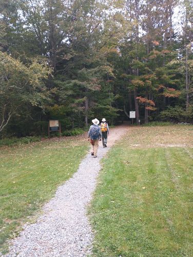 Trail back to parking area 