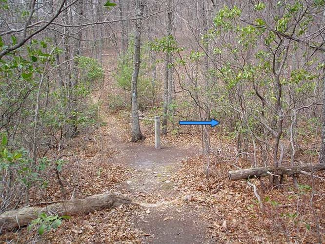 Picture 6 of Rocky Mount Hike 040106