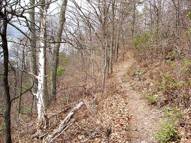 Picture 7 of Rocky Mount Hike 040106