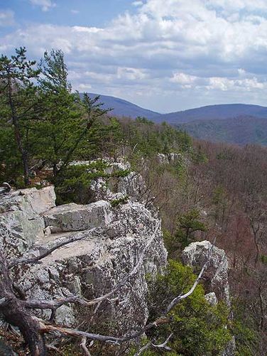 Picture 13 of Rocky Mount Hike 040106