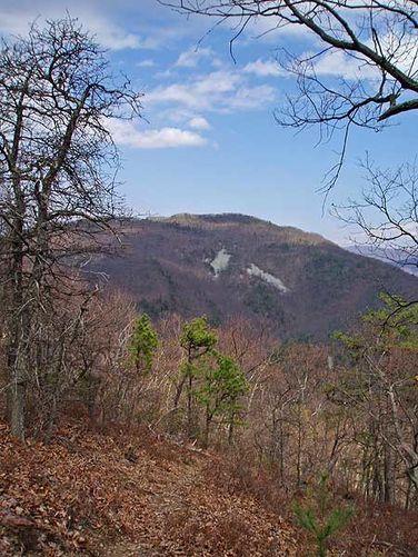Picture 15 of Rocky Mount Hike 040106