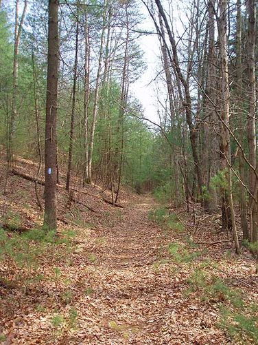 Picture 18 of Rocky Mount Hike 040106