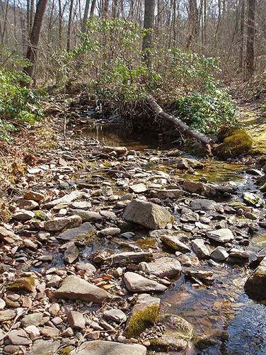 Picture 20 of Rocky Mount Hike 040106