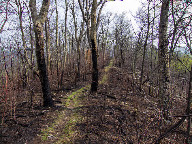 Rocky Mount Hike - Rocky Mount Hike 050716 album