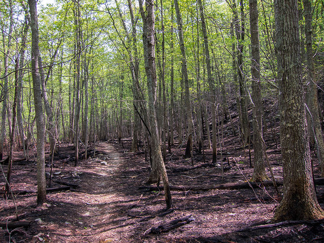 Picture 2 of Rocky Mount Hike 050716