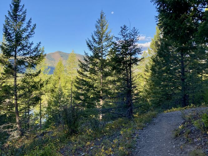 Picture 13 of Rocky Point via Lake McDonald Trail