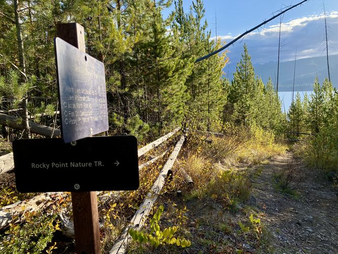 Turn from the Rocky Point Nature Trail back to the Lake McDonald Trail